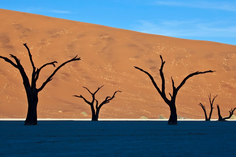 ナミブ砂漠への行き方と見どころ